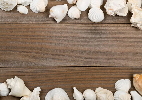 Seashell frame on brown wooden boards — Stock Photo, Image