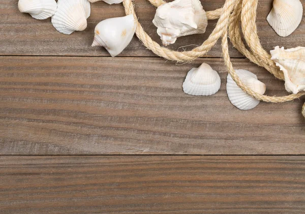 Cáscaras de mar con cuerda en tablas de madera marrón —  Fotos de Stock