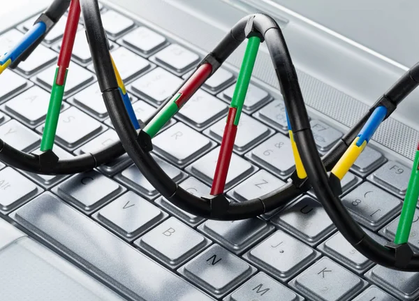 Model cząsteczki DNA na klawiaturze komputera — Zdjęcie stockowe