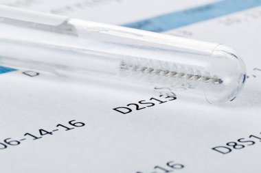 Babalık testi sonuç formu test tüpü içinde bukkal bez ile