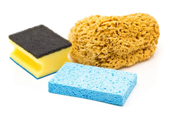 Set of different cleaning sponges over white background — Stock Photo, Image