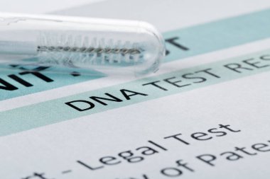 Babalık testi sonuç formu test tüpü içinde bukkal bez ile