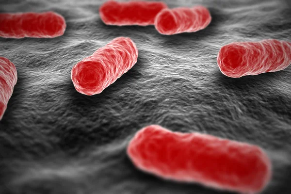 Salmonella baccampum microscopic view on surface — стоковое фото