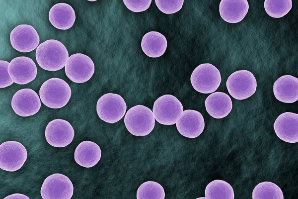 Staphylococcus bacterium visão microscópica na superfície — Fotografia de Stock
