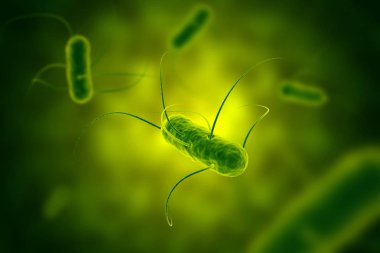 Salmonella bakteri ile kamçı mikroskobik görünümü 3d illustrat