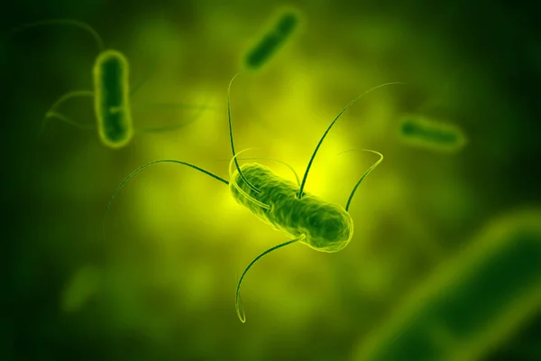 Batterio alla salmonella con flagella microscopica vista 3D illustrat — Foto Stock