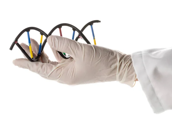 Onderzoeker met handschoen holding Dna molecule model — Stockfoto