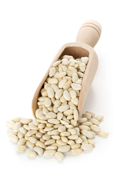 木のスプーンで白豆豆類を乾燥します。 — ストック写真
