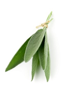 Paketlenmiş taze hasat organik adaçayı yaprakları üzerinde beyaz