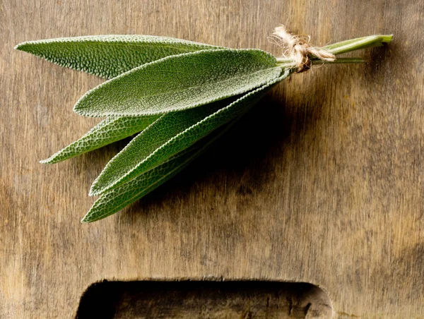 Gebundelde vers geoogste biologische Salie bladeren op houten snijden bo — Stockfoto