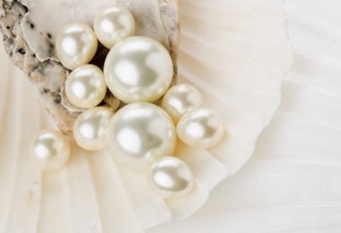 Deniz kabuğu içinde inci yakın çekim