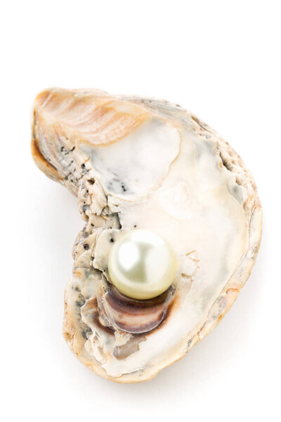 Single pearl in oyster sea shell 