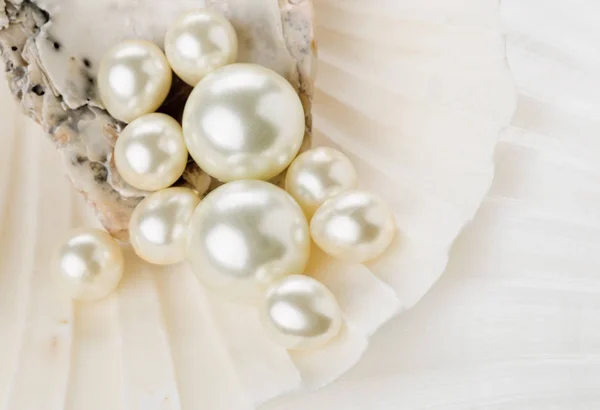 Pearls in sea shell close up — Stock Photo, Image