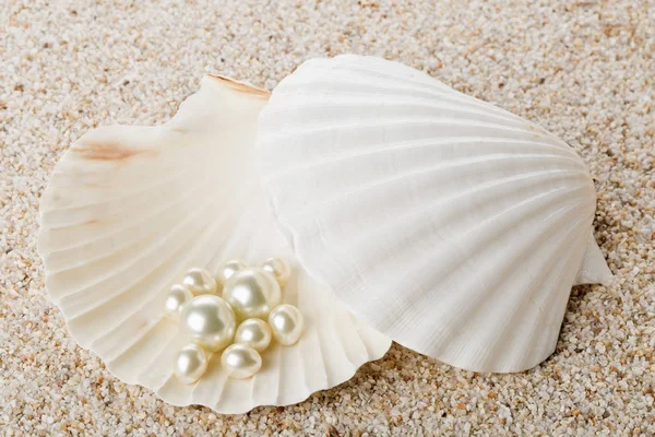 Múltiples perlas en concha marina sobre arena — Foto de Stock