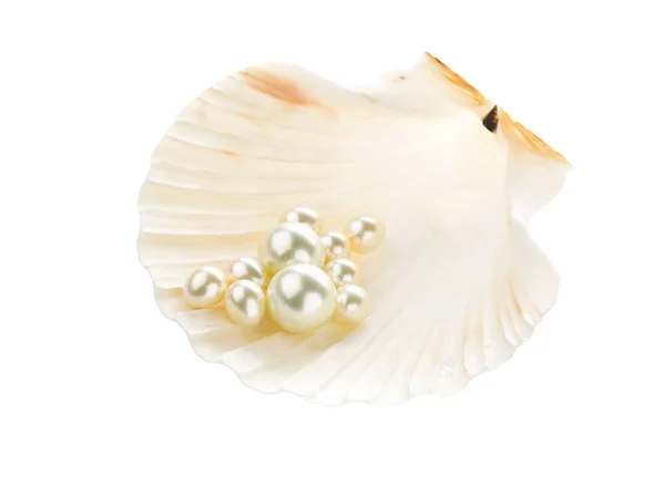 Múltiples perlas en concha marina — Foto de Stock