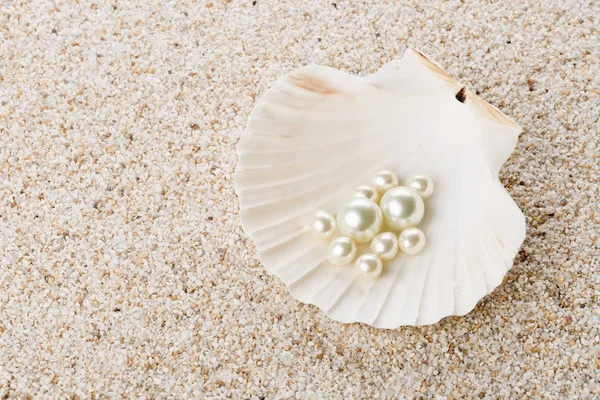 Perles multiples en coquille de mer sur sable — Photo