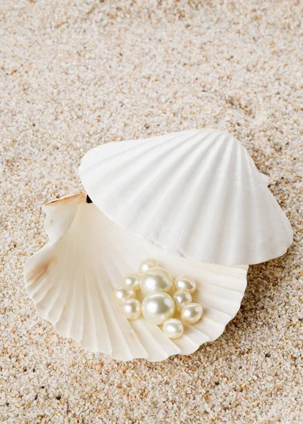 海シェル砂の上で複数の真珠 — ストック写真