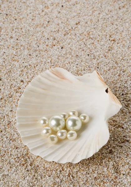 Множество жемчужин в морской раковине на песке — стоковое фото
