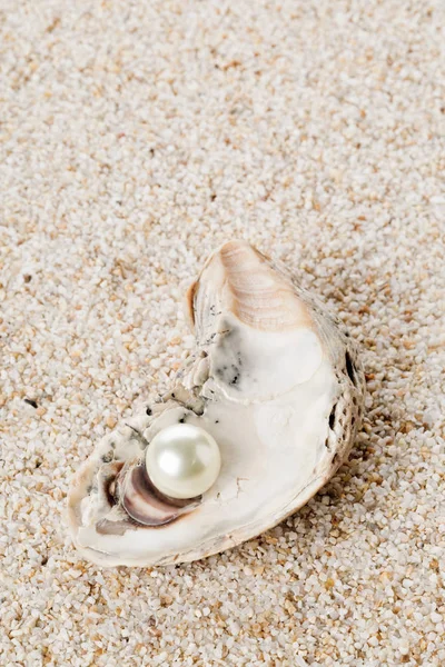 Perla única en concha de mar ostra sobre arena —  Fotos de Stock