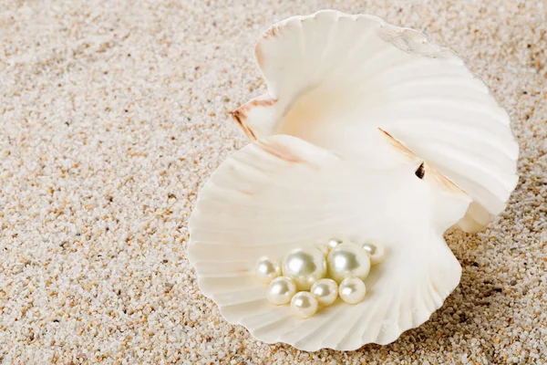 Множество жемчужин в морской раковине на песке — стоковое фото