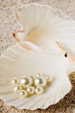 Deniz kabuğu kum üzerinde içinde birden çok inci