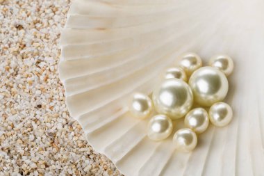 Deniz kabuğu kum üzerinde içinde birden çok inci