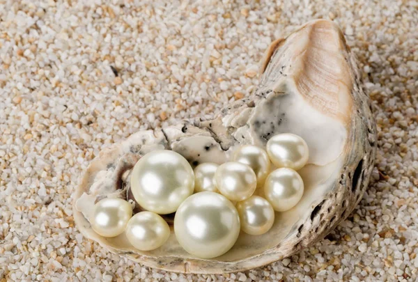 カキ貝殻砂の上で複数の真珠 — ストック写真