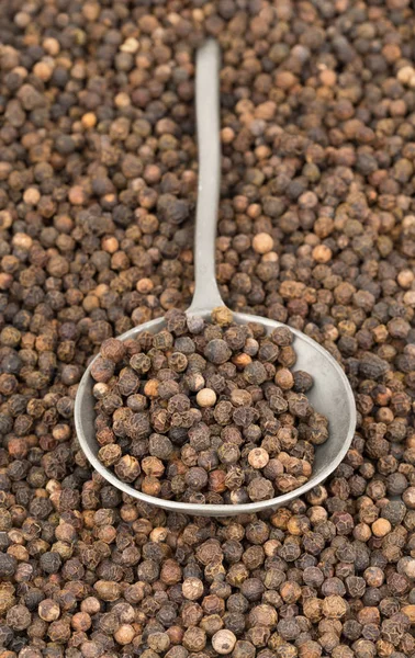 Raw, natural, unprocessed black pepper peppercorns in metal spoo — Stock Photo, Image