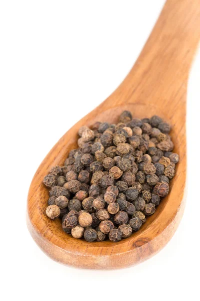 Heap of raw, natural, unprocessed black pepper peppercorns in sp — Stock Photo, Image