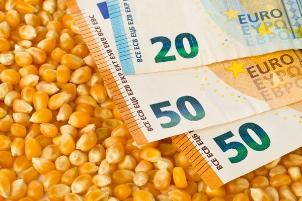 Eurobankbiljetten op de achtergrond van maïs- of maïskorrels — Stockfoto
