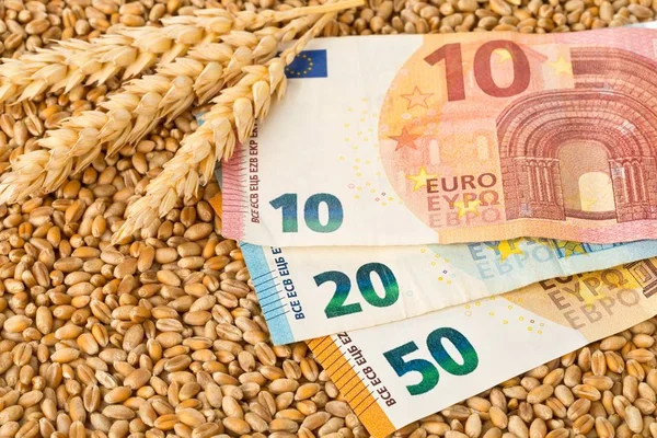 Eurobankbiljetten op tarwekorrelachtergrond met tarweoren — Stockfoto