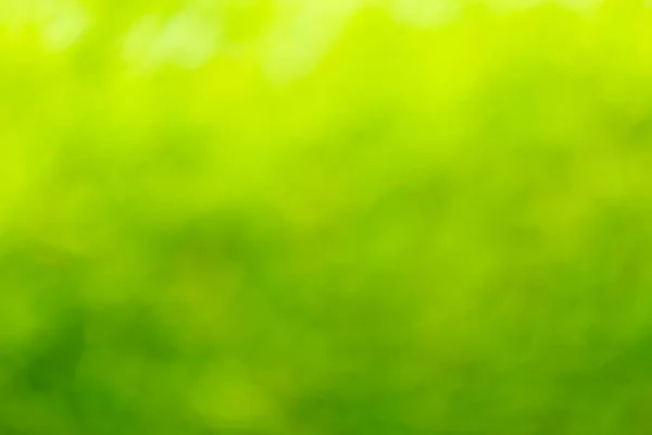 Defocussed green bokeh grass or foliage background — Stock Photo, Image