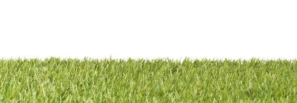 Zöld fű pázsit banner elszigetelt fehér háttér másolási hely — Stock Fotó