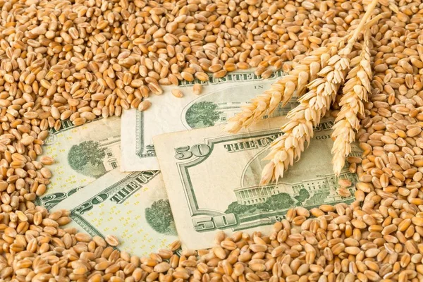 Dollar banknotes covered with heap of wheat kernels — Stock Photo, Image