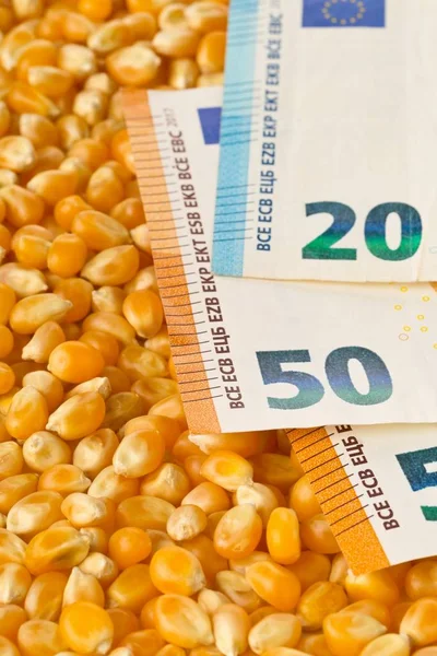 Euro-Banknoten auf Mais- oder Maiskernen Hintergrund — Stockfoto