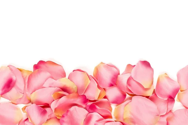 Różowy materiał płatki róż brzeg nad czerwonym tle widok z góry — Zdjęcie stockowe