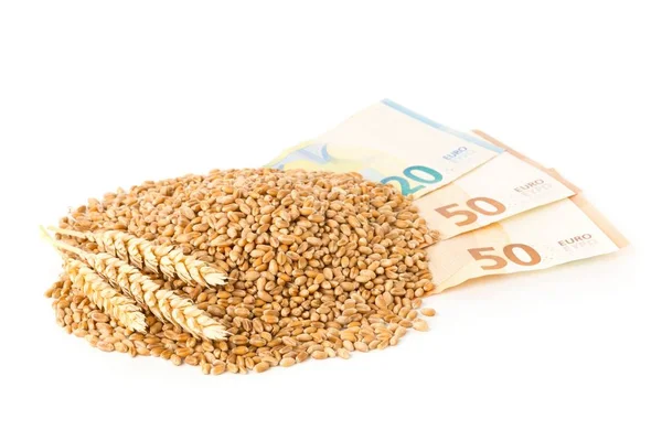 Heap of wheat kernels with wheat ears on euro banknotes over white background - wheat cost or prize concept — Stock Photo, Image