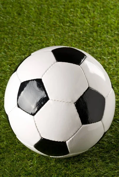 Single soccer ball on green grass lawn background with copy space — ストック写真