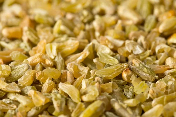 Неприготовленное, сырое фрике или фирик, жареное зерно пшеницы, закрыть макро — стоковое фото