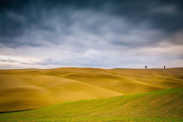 Paisaje típico en Val D 'Orcia, Toscana (Italia) ) —  Fotos de Stock