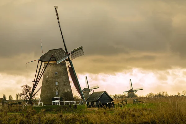 De Nederlandse windmolens historici in de buurt van Rotterdam — Stockfoto