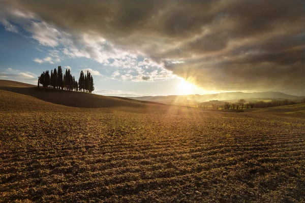 Typisch Landschap Van Toscane — Stockfoto