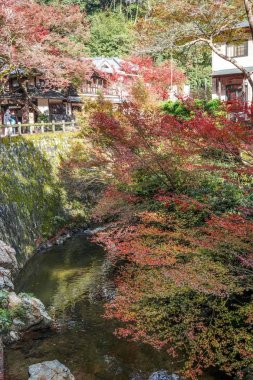 Renk değişimi Japonya'da bırakır