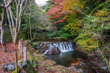 Renk değişimi Japonya'da bırakır