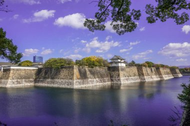 Renk değişimi Japonya'da bırakır