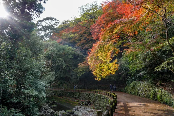 Deixa Mudança Cor Japão — Fotografia de Stock