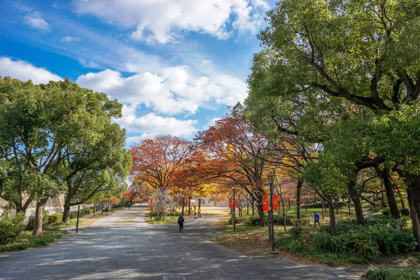 Leaves Color Change Japan — Stock Photo, Image