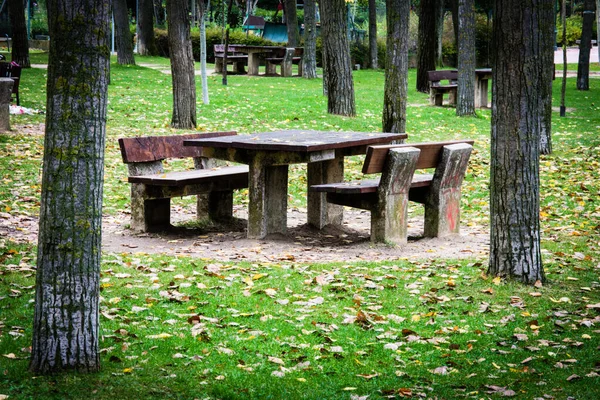 Table en pierre et banc dans la forêt entourée d'arbres — Photo