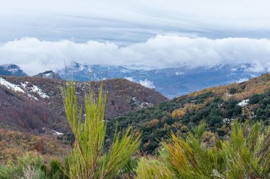 Dağları kaplayan alçak bulutlar