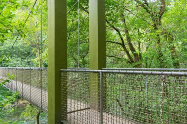 Fragas do Eume nehri üzerindeki asma köprü.